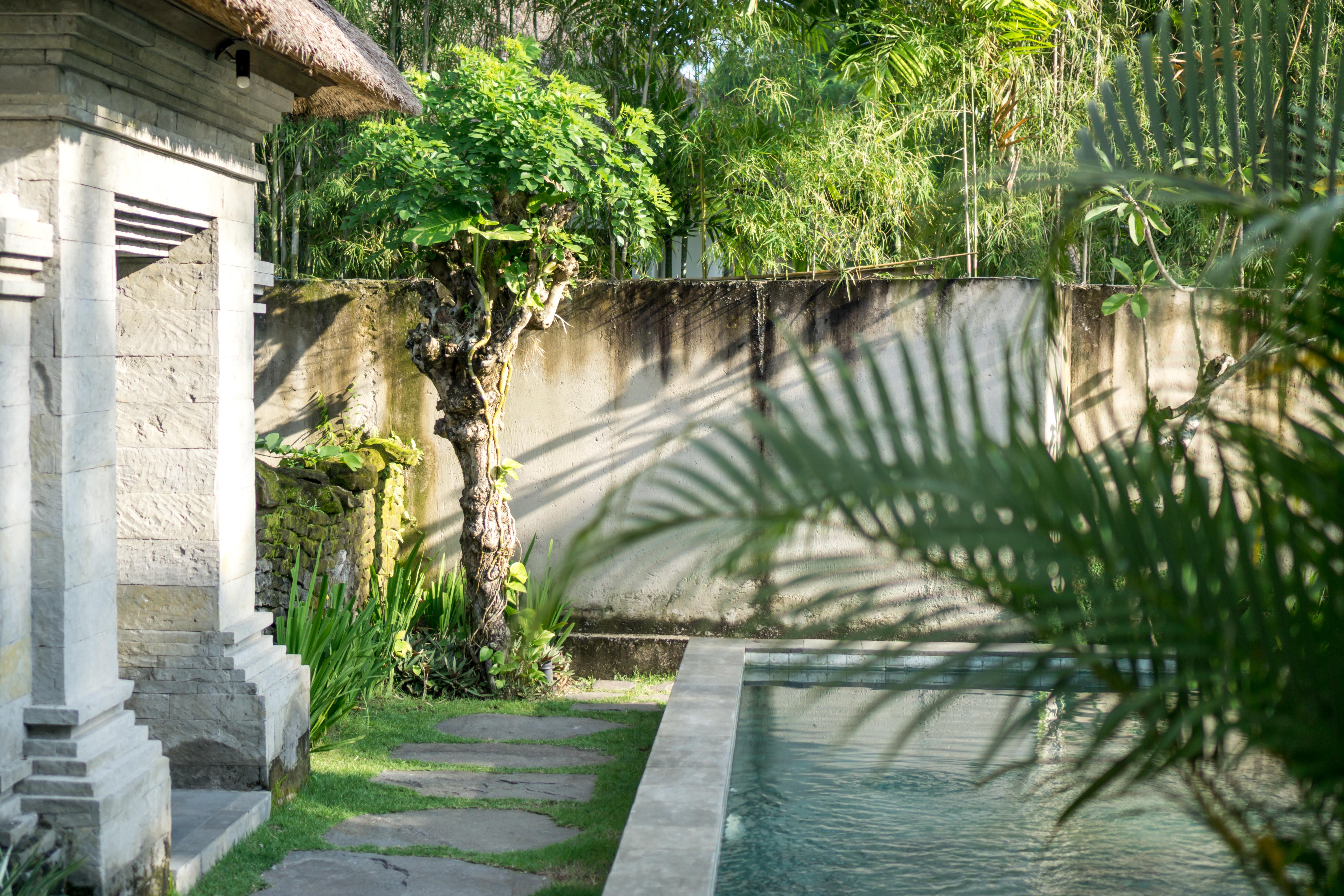 Radha Phala Resort & Spa Ubud Eksteriør bilde